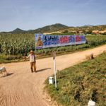 Crossroads in Rural North Korea