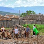 Workers in rural North Korea